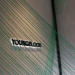 chainlink christmas young blood