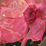 suspending sakura metalace sculpture